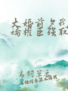 大婚前夕我被病娇权臣强取豪夺了