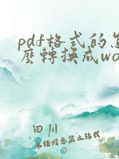 pdf格式的怎么转换成word