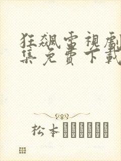 狂飙电视剧40集免费下载观看