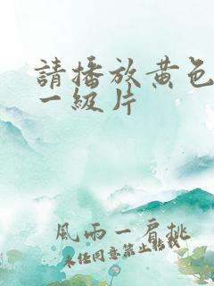 请播放黄色夫妻一级片