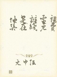 他是谁电视剧全集在线免费观看