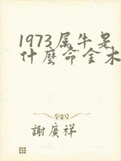 1973属牛是什么命金木水火土