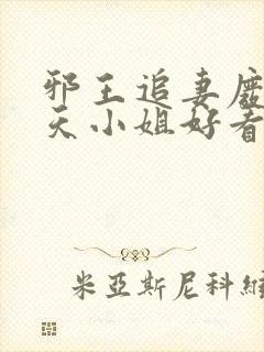 邪王追妻废材逆天小姐好看吗