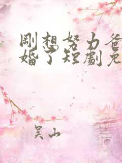 刚想努力爸妈离婚了短剧免费观看