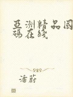 亚洲精品国产乱码在线