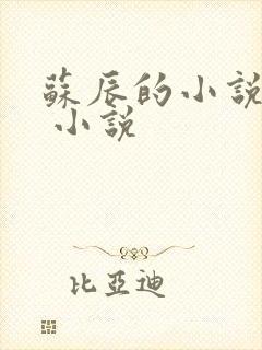 苏辰的小说主角 小说