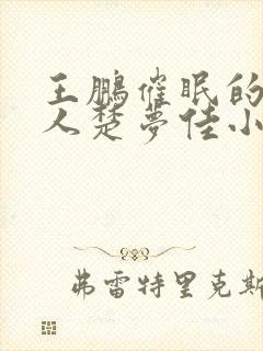 王鹏催眠的一家人楚梦佳小说改编