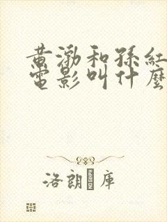 黄渤和孙红雷的电影叫什么名