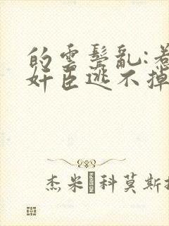 的云鬓乱:惹上奸臣逃不掉