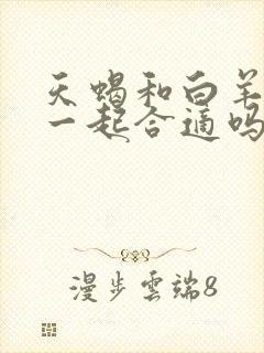 天蝎和白羊女在一起合适吗