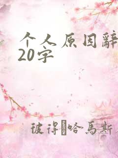 个人原因辞职信20字