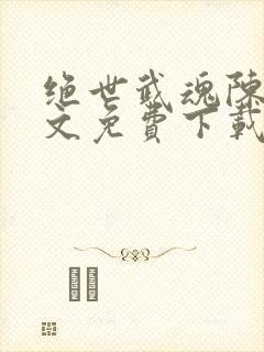 绝世武魂陈枫全文免费下载txt