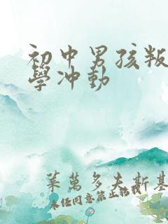 初中男孩叛逆厌学冲动