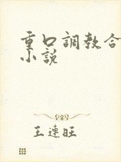 重口调教合集的小说