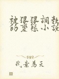 被狠狠调教玩弄的变态小说