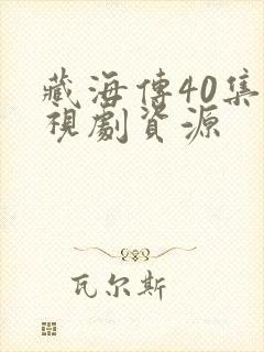 藏海传40集电视剧资源