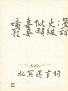 娇妻似火:墨少宠妻超级甜