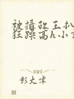 被摄政王扒开腿狂躁高h小说