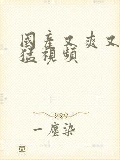 国产又爽又粗又猛视频