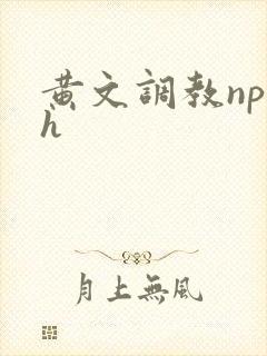 黄文调教np高h