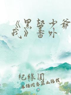 《黑帮少爷爱上我》番外