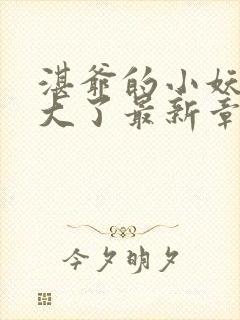 湛爷的小妖精长大了最新章节