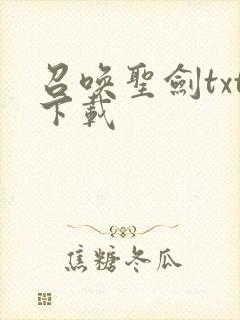 召唤圣剑txt下载