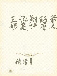 王泓翔的爷爷奶奶是什么人