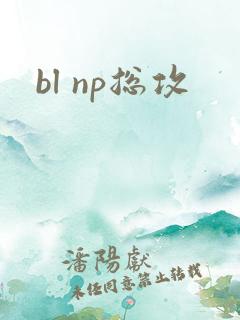 bl np总攻