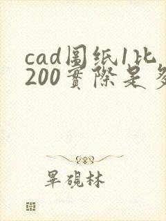 cad图纸1比200实际是多少