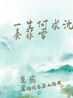 一生何求沈浩川秦菲雪