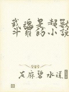 武魂是超兽武装斗罗的小说