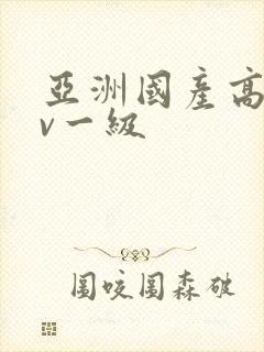 亚洲国产高清av一级