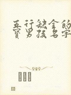 五行缺金的龙宝宝男孩名字