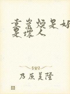 袁崇焕是好人还是坏人