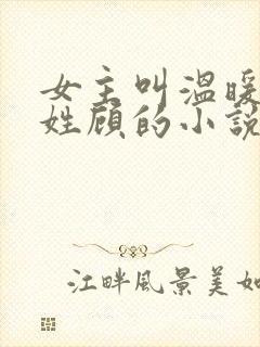 女主叫温暖男主姓顾的小说