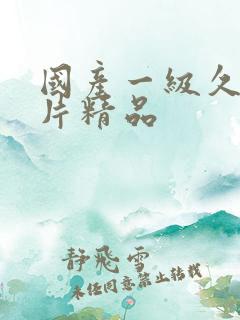 国产一级久久久片精品