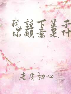 我说下辈子如果你愿意是什么歌名