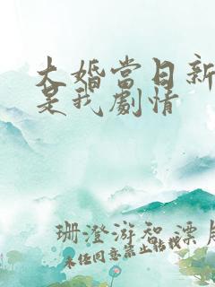 大婚当日新娘不是我剧情