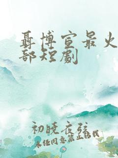 聂博宣最火的十部短剧