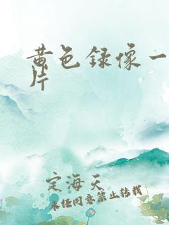 黄色录像一级一片