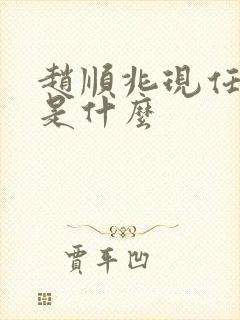 赵顺兆现任职务是什么