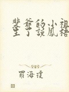 裴爷的小祖宗重生了说凤梧