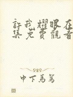 许我耀眼在线全集免费观看电视剧