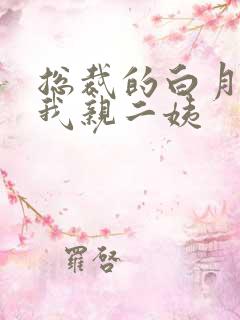 总裁的白月光是我亲二姨