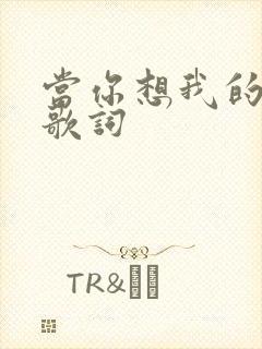当你想我的时候歌词