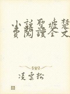 小说圣墟楚风免费阅读全文