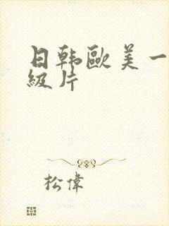 日韩欧美一级二级片