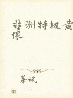 非洲特级黄色录像