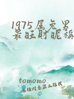 1975属兔男最旺财昵称